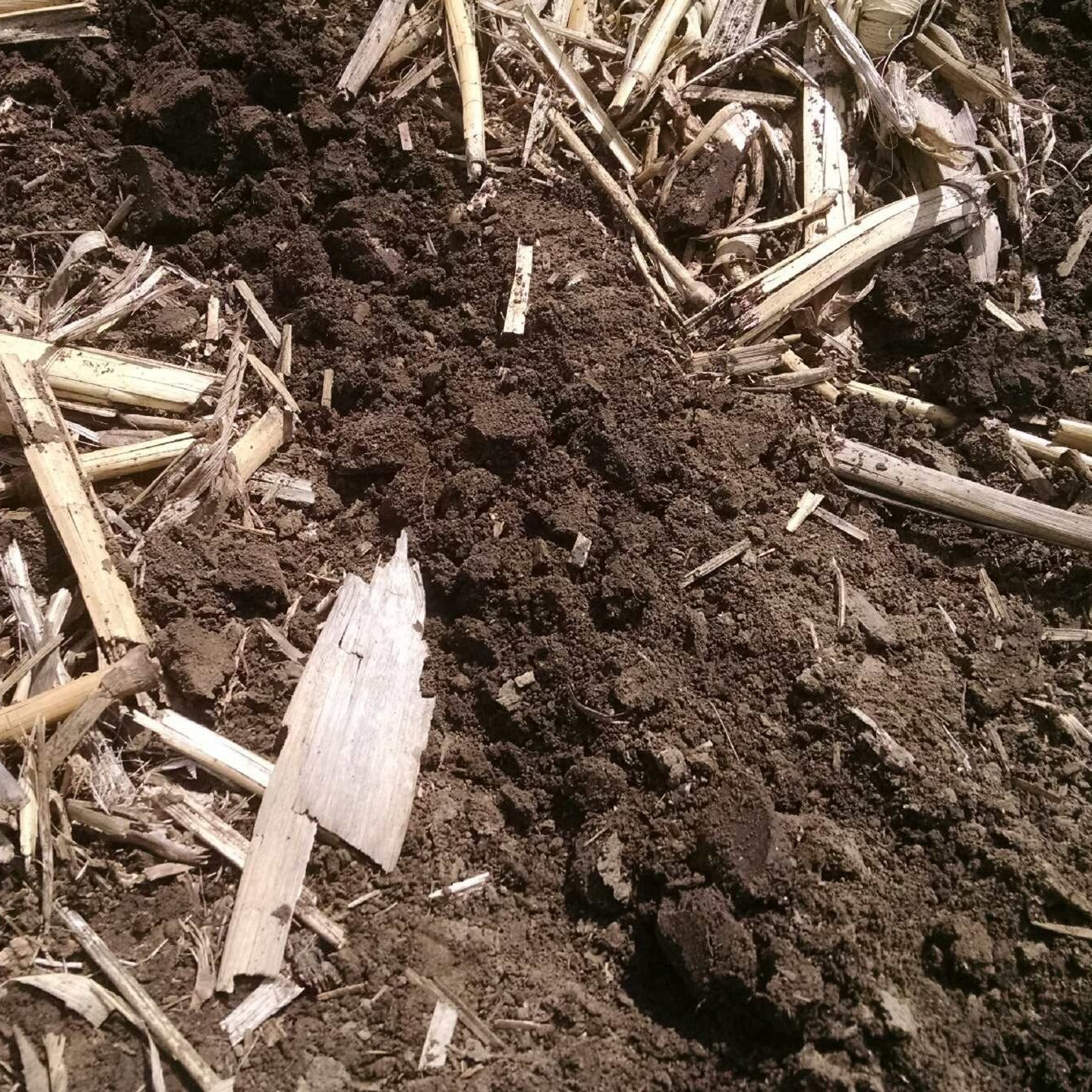 The Closer (Wheels Only)